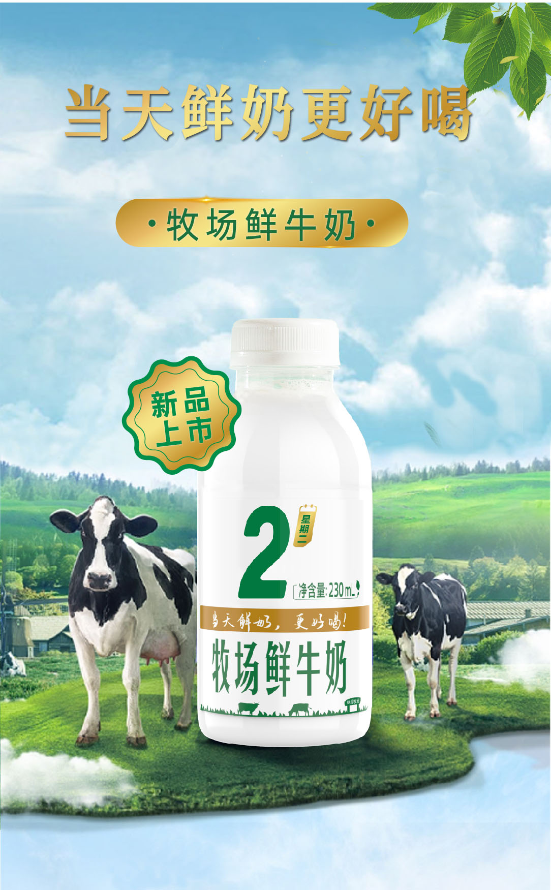 111������ţ��-����_���� 1(3).jpg