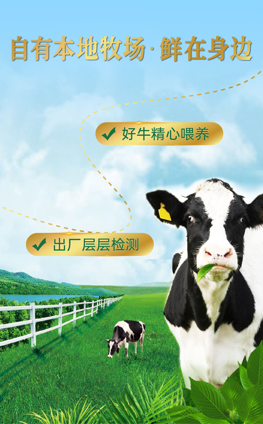 333������ţ��-����_���� 1 ���� 2(3).jpg